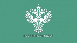 Федеральная служба по надзору в сфере природопользования (Росприроднадзор)