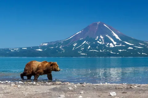 Камчатский филиал